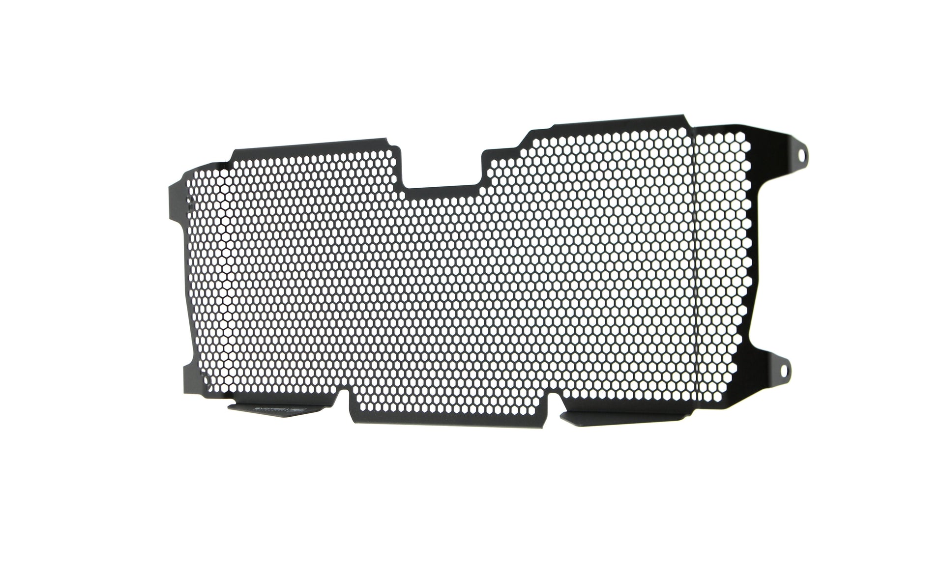 Evotech Radiator Guard - BMW R 1250 R (2019+)