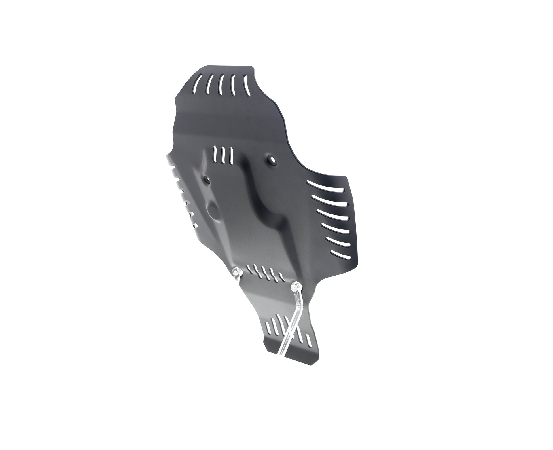 Evotech BMW R nineT Racer Engine Guard (2017+)